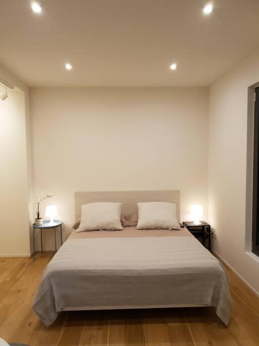 Experience The Loft! Loft 18, Downtown, Near The Lake Free Parking Available Лугано Экстерьер фото